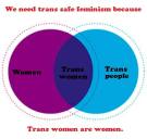 we need trans safe feminism because trans women are women